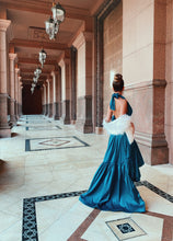 Load image into Gallery viewer, Telsa