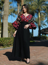 Load image into Gallery viewer, Banshui